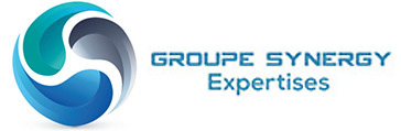 GROUPE SYNERGY EXPERTISES est un groupement d'experts en bâtiment et construction